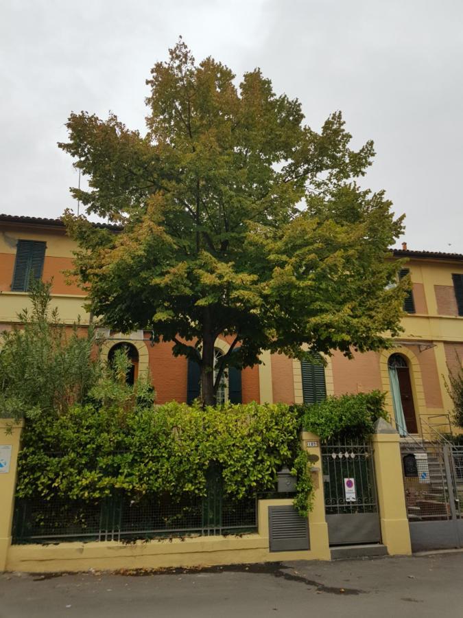 Bed and Breakfast Stella Del Mar Bolonia Exterior foto